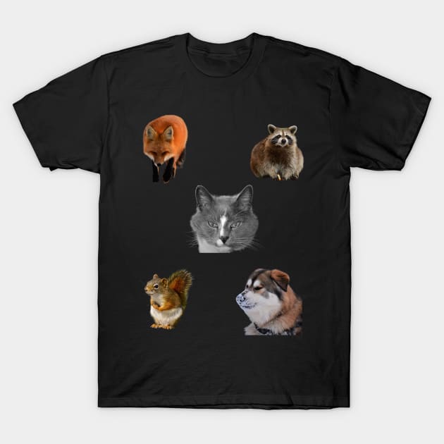 cute animals, Cat,Dog ,Squirrel, Fox and Raccoon T-Shirt by rconyard